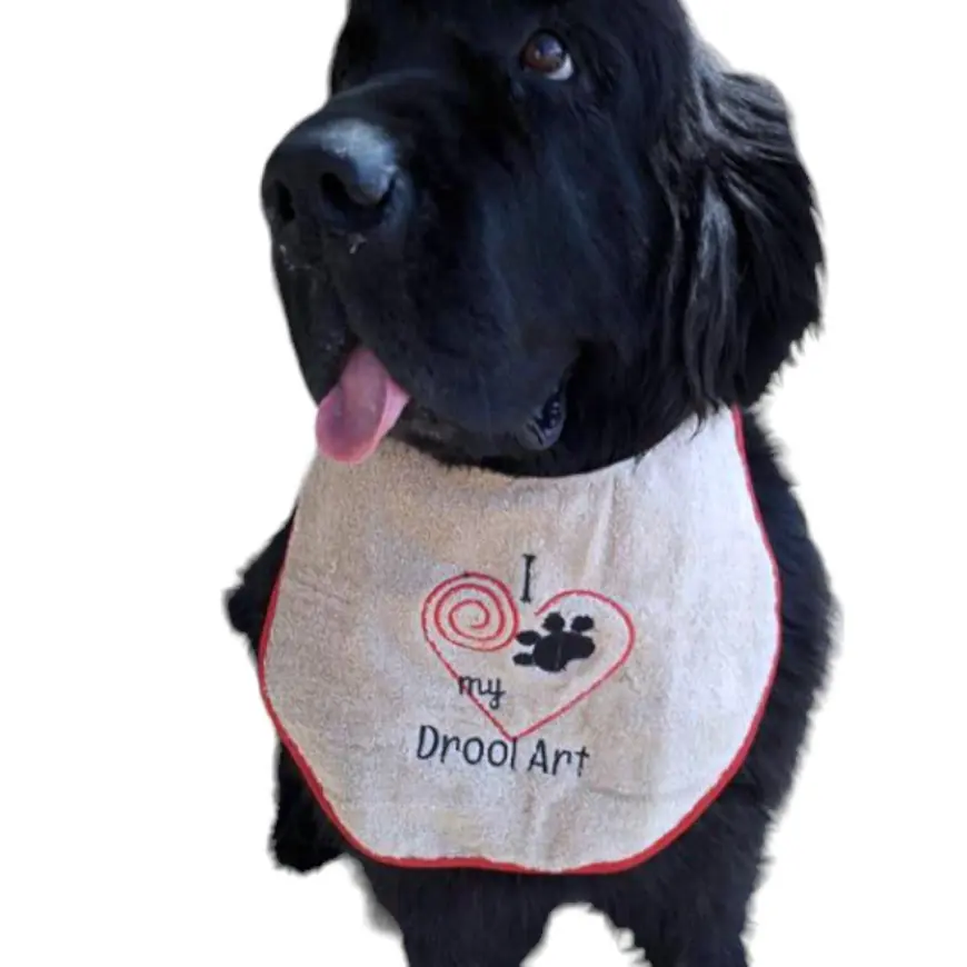 Big Dogs Drool Bibs Blend Comfort, Personality, And Everyday Style