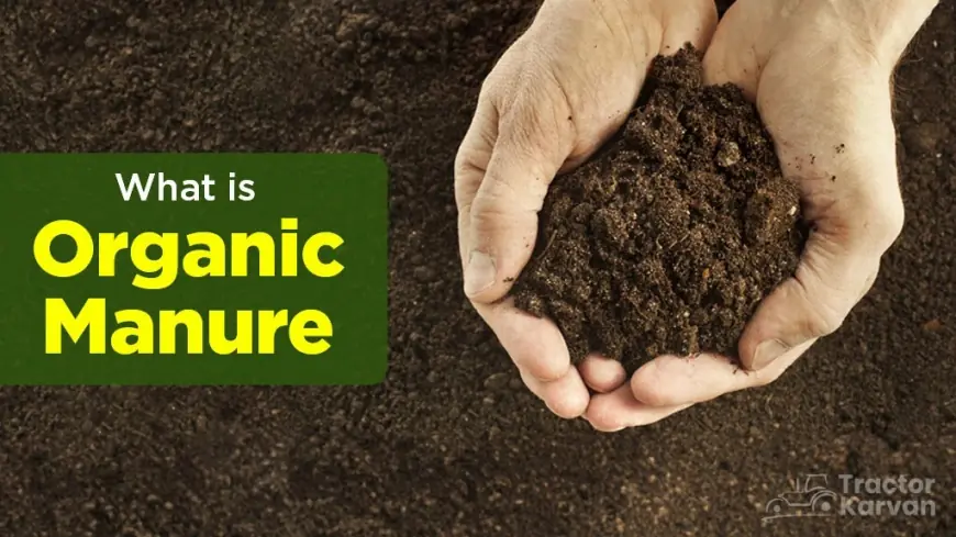 Learn About Organic Manure, its Types and Benefits
