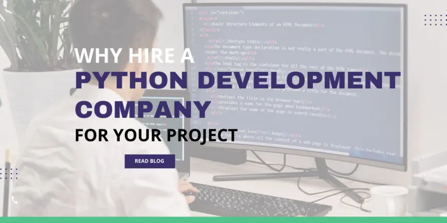 Why Hire a Python Development Company for Your Project