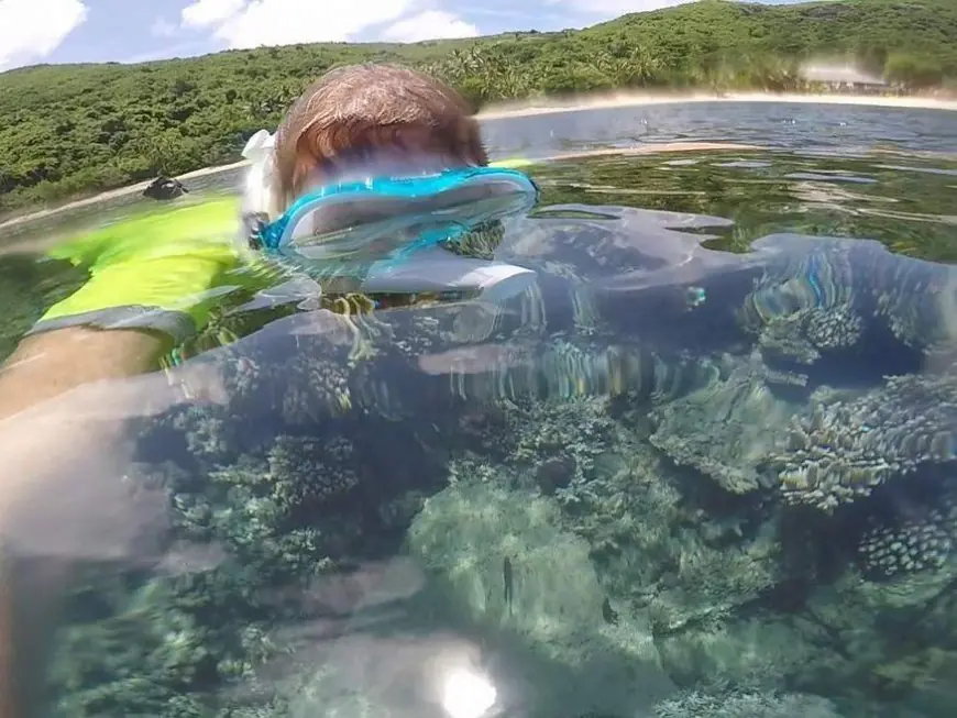 Car Hire Fiji: The Ultimate Guide for First-Time Visitors