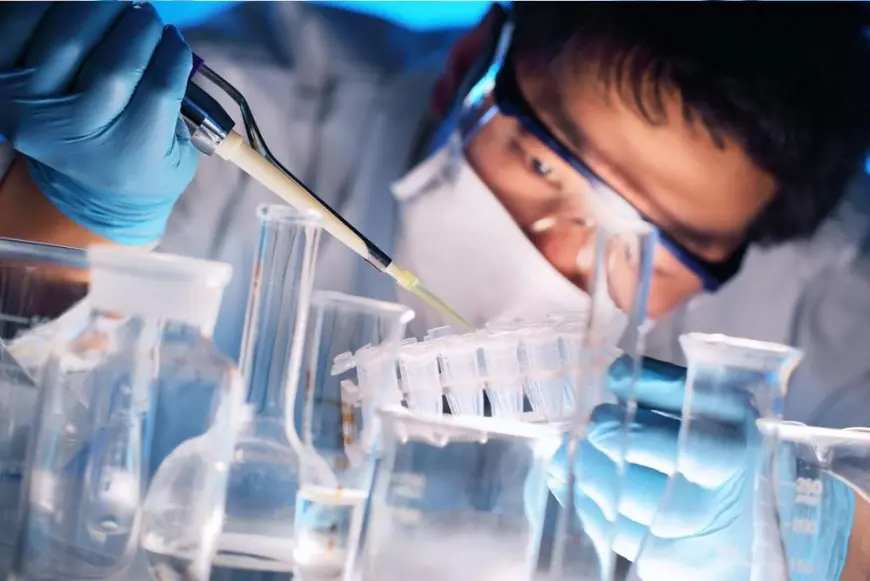 Global Automotive Appearance Chemicals Market 2030 Share Trends