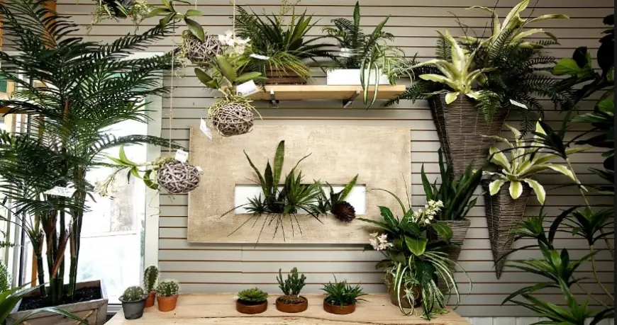 Artificial Plants Market Accelerators Influencing Adoption Across Residential, Commercial, and Retail Industry Spaces