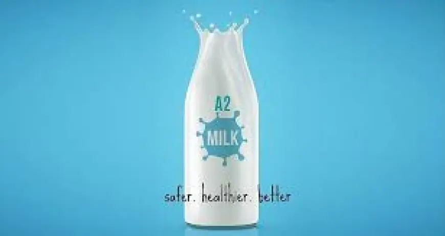 A2 Milk Market Demand Expected to Increase Due to Growing Awareness About Lactose Intolerance and Nutrition