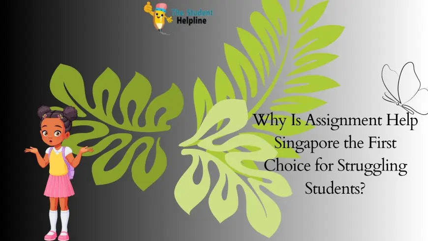 Why Is Assignment Help Singapore the First Choice for Struggling Students?