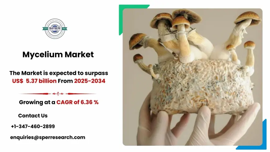 Mycelium Market Developments and Business Opportunities 2034