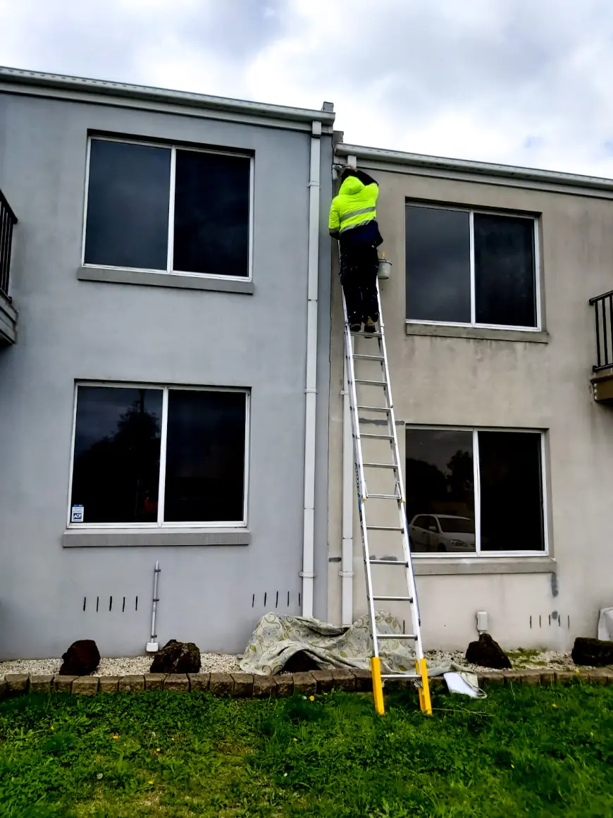 Dan Home Painting Services Brings a New Look to Commercial Space Painting in Melbourne