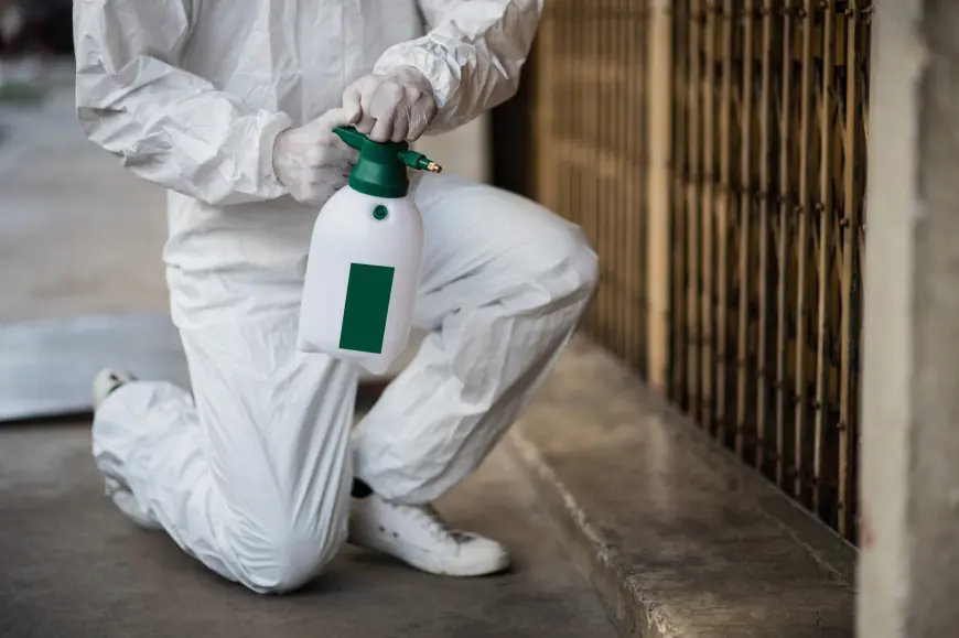 How to Get Rid of Pests in Your Spring, TX Home