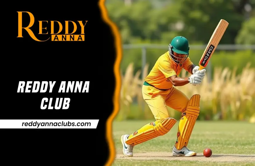 Reddy Anna Club: Changing the Face of Betting