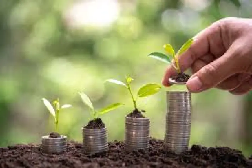 Impact Investing Market 2030: Drivers, Trends and Key Outlook