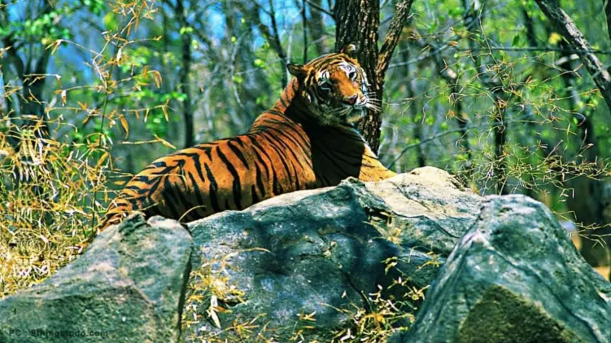 Explore Arunachal Pradesh Package Tour from Guwahati