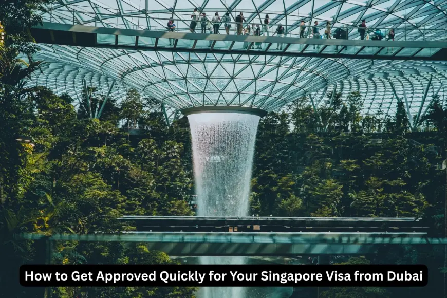 How to Get Approved Quickly for Your Singapore Visa from Dubai