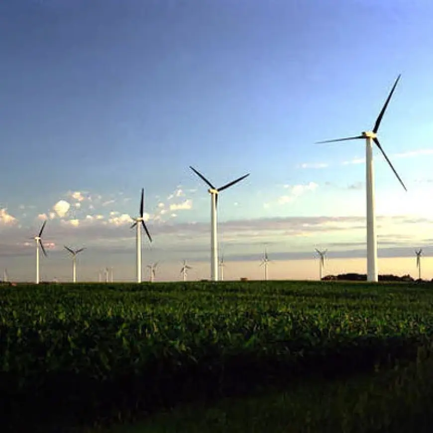 Growing Wind Turbine Forging Market : An Analysis of Trends and Drivers