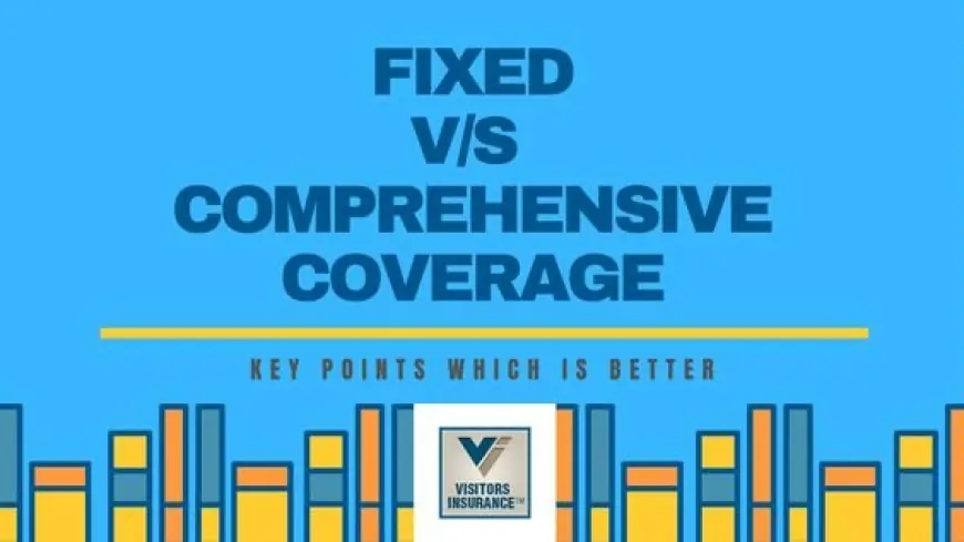 Choosing the Right Safety Net Abroad the Understanding Visitors Care Coverage