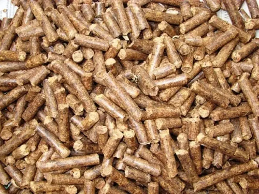 Biomass Pellets Manufacturing Plant Cost Benchmarking 2025: Feasibility and Profitability Roadmap for Investors