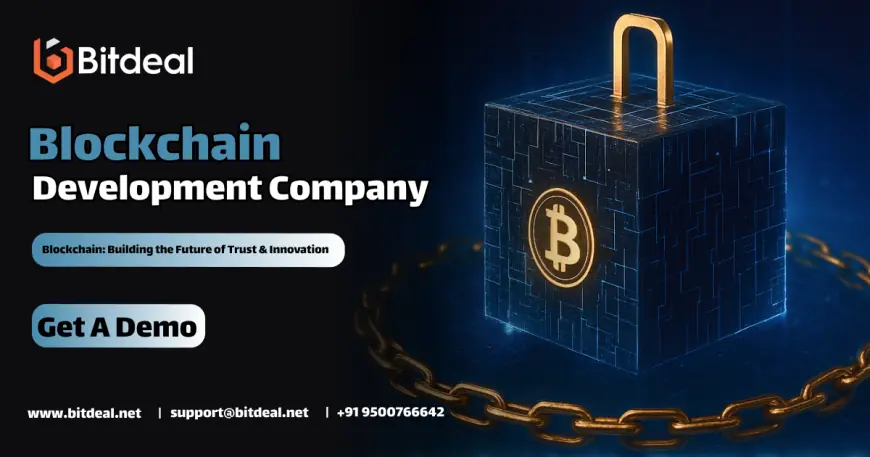 Blockchain Development Company: Building the Infrastructure of Tomorrow’s Internet