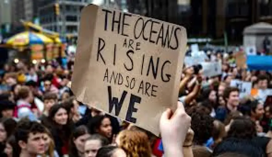 How Youth Movements Are Reshaping Political Landscapes