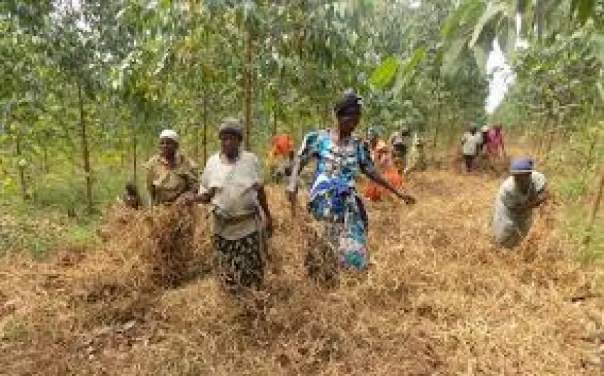 “How I Finally Won a Land Battle in Uganda – Peter’s True Testimony”