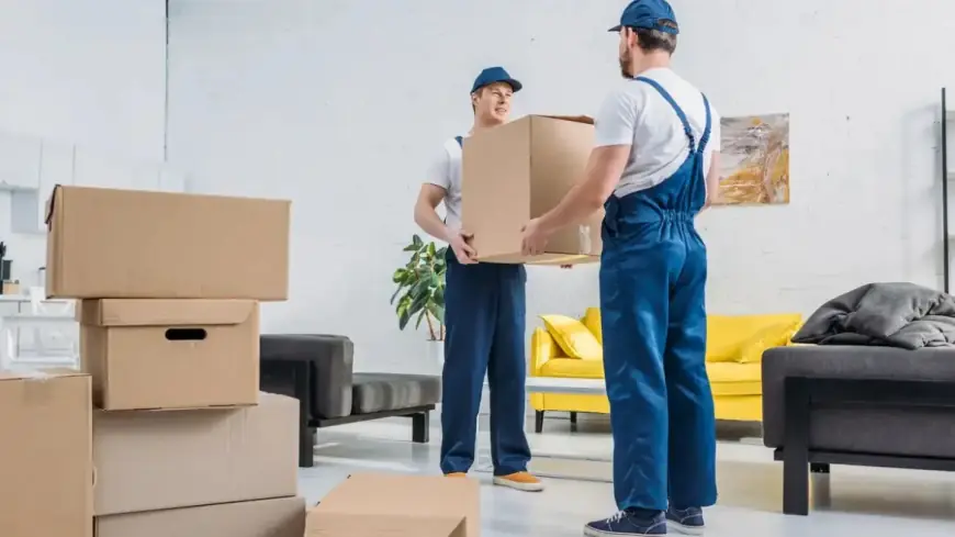 Reasons First-Time Renters Need Denver Apartment Moving Services