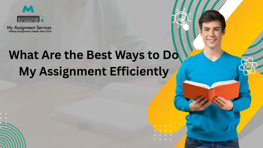 What Are the Best Ways to Do My Assignment Efficiently