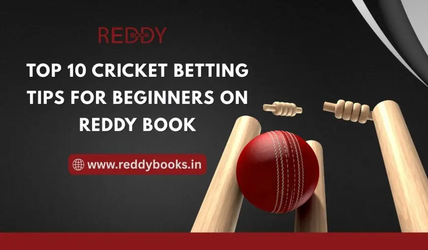 Top 10 Cricket Betting Tips for Beginners on Reddy Book