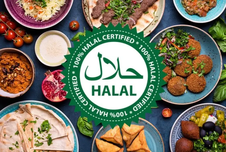 Introduction to Halal Doner Kabab