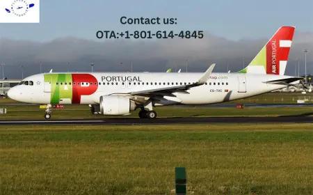 How to Request the Tap Portugal Upgrade? Best Ideas Are Inside