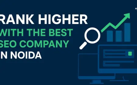 Best SEO Company in Noida – Rank Higher Today