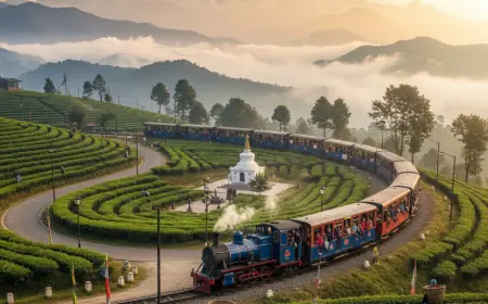 Darjeeling Tour Packages Under 10000 – Budget Adventure & Sightseeing