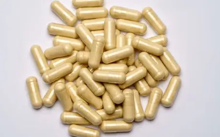 United States Empty Capsules Market Size Forecast Report – Demand Growth Outlook 2025–2033