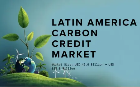 Latin America Carbon Credit Market Projected Growth to USD 823.8 Billion by 2033