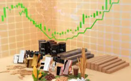 Global Derivatives and Commodities Brokerage Market 2030 Size