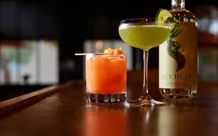 Zero-Proof Drinks Wholesale: A Guide for Distributors and Retailers