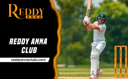 Reddy Anna Club for Responsible Bettor: Safe, Smart, and Fun