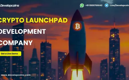 From Idea to IDO: Crypto Launchpad Development Driving the Future of Blockchain Fundraising