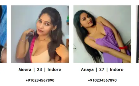 indore escort service