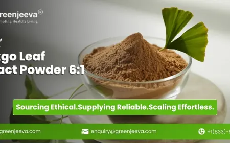 Ginkgo Leaf Extract Powder 6:1: A Buyer’s Guide to Sourcing Clean-Label Herbal Extracts in Bulk