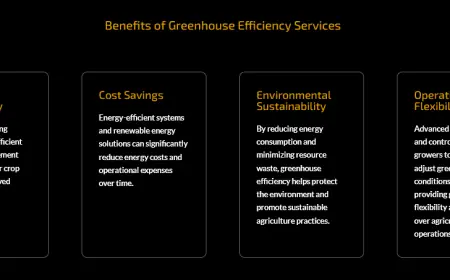 Stay Powered & Stay Bright: Why Stand By Generators Kalamazoo MI and a Top Exterior Lighting Electrical Company Kalamazoo MI Are Essential in 2025