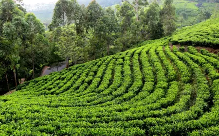 5 Must-see Attractions In The Seven Sisters Tour Package