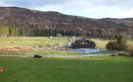 What Are the Most Reliable Tools to Take on Any Camping Trip?