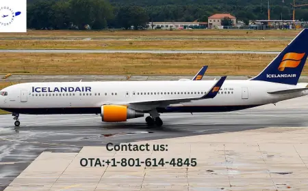 How Do I Process Icelandair Cancel Flight?