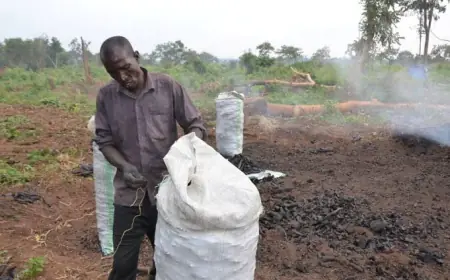 From Charcoal Hustler to Kampala Tycoon, The Inspiring Journey of Mr. James