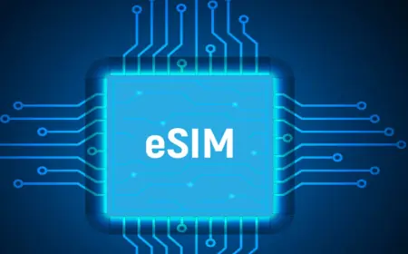 Avoiding Roaming Fees in the USA: The Complete eSIM Guide