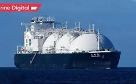 Marine Oil and Gas Tanker Market 2030 Future Growth Insights