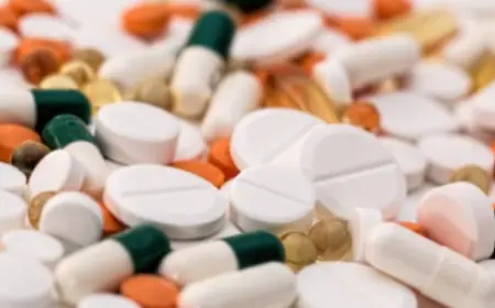North America Analgesics Market Growth, Share & Trends Report 2025-2033