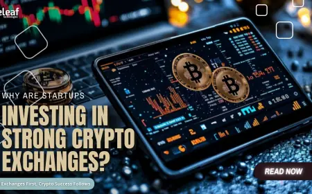 Why Startups Are Focusing on Building Strong Cryptocurrency Exchanges First ?