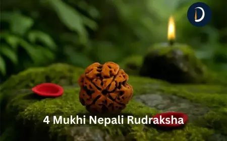 4 Mukhi Nepali Rudraksha For Speech And Confidence