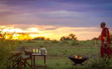 Which Botswana Safari Route Offers the Best Photographic Opportunities?