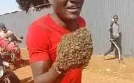 Nairobi Thieves Who Tried Breaking Into a Hardware Shop Found Sitting Outside Crying in Pain, Stolen Goods Recovered