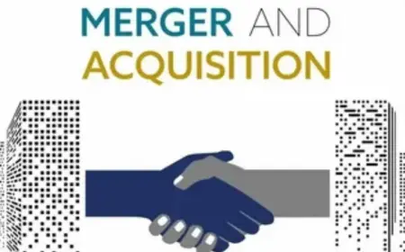 CDAP Consulting Agency | Digital Adoption Grants & Strategy