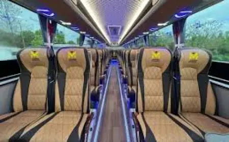 Reliable Frozen French Fries Supplier Egypt to Spain Meeting Market Demands